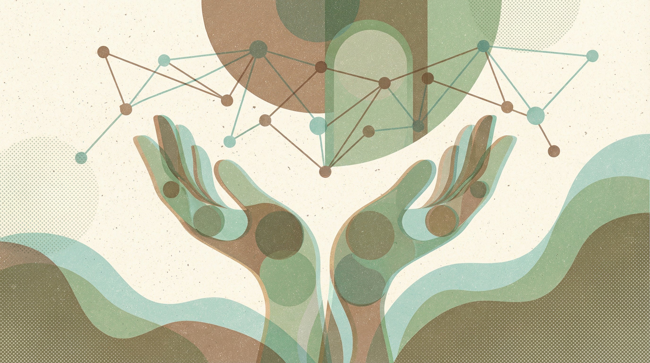 Healthcare Provider - Link Building & Strategy